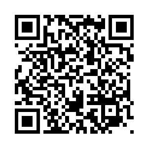 Link to your fundraiser QRCode - Fundraising