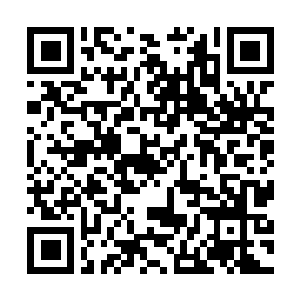 Link to your fundraiser QRCode - Fundraising
