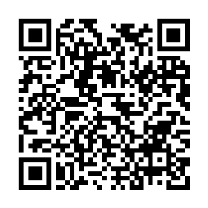 Link to your fundraiser QRCode - Fundraising