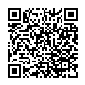 Link to your fundraiser QRCode - Fundraising