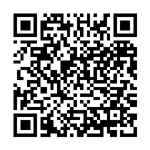 Link to your fundraiser QRCode - Fundraising