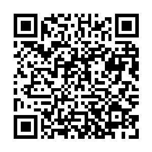 Link to your fundraiser QRCode - Fundraising