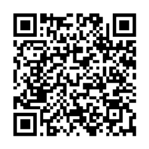 Link to your fundraiser QRCode - Fundraising