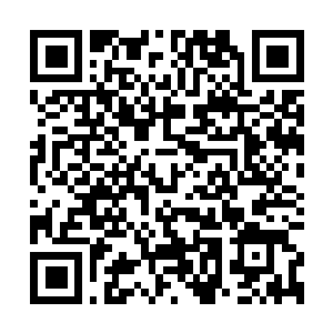 Link to your fundraiser QRCode - Fundraising