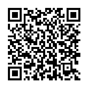 Link to your fundraiser QRCode - Fundraising