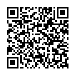 Link to your fundraiser QRCode - Fundraising