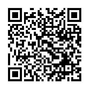 Link to your fundraiser QRCode - Fundraising