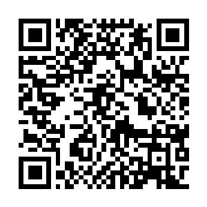 Link to your fundraiser QRCode - Fundraising