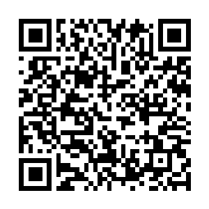Link to your fundraiser QRCode - Fundraising