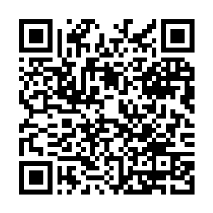 Link to your fundraiser QRCode - Fundraising