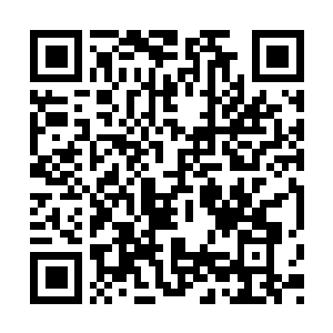 Link to your fundraiser QRCode - Fundraising