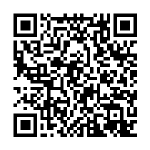 Link to your fundraiser QRCode - Fundraising