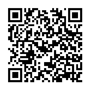 Link to your fundraiser QRCode - Fundraising