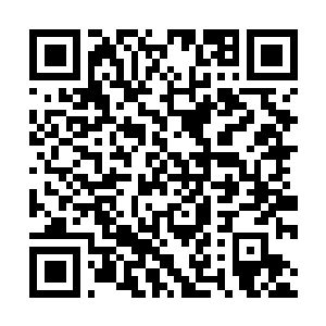 Link to your fundraiser QRCode - Fundraising