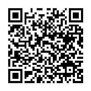 Link to your fundraiser QRCode - Fundraising