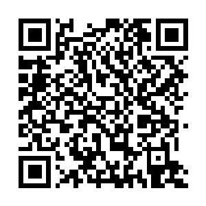 Link to your fundraiser QRCode - Fundraising
