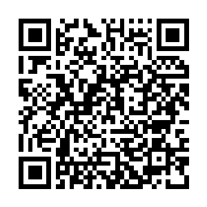 Link to your fundraiser QRCode - Fundraising