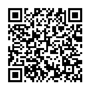 Link to your fundraiser QRCode - Fundraising