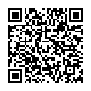 Link to your fundraiser QRCode - Fundraising
