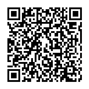 Link to your fundraiser QRCode - Fundraising