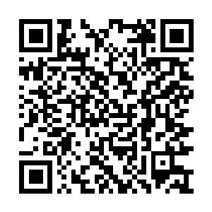 Link to your fundraiser QRCode - Fundraising