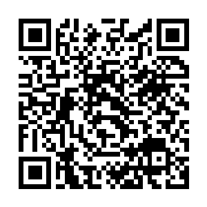 Link to your fundraiser QRCode - Fundraising