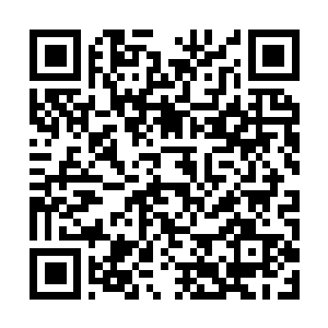 Link to your fundraiser QRCode - Fundraising