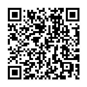 Link to your fundraiser QRCode - Fundraising