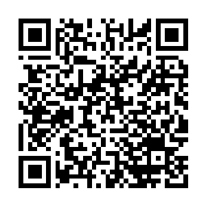 Link to your fundraiser QRCode - Fundraising