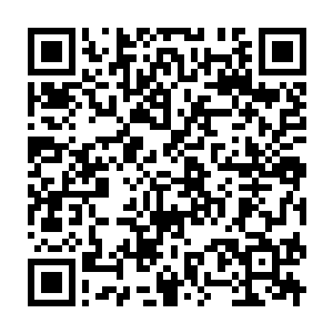 Link to your fundraiser QRCode - Fundraising