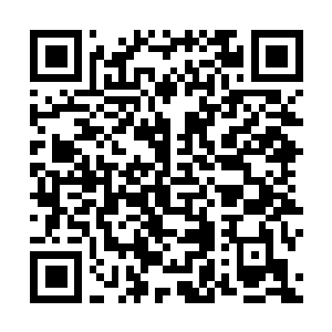 Link to your fundraiser QRCode - Fundraising