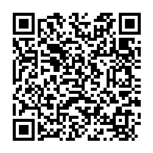 Link to your fundraiser QRCode - Fundraising