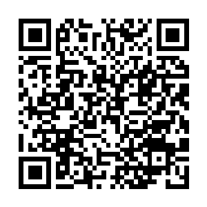 Link to your fundraiser QRCode - Fundraising