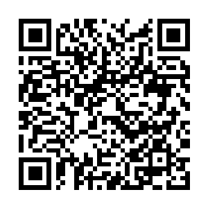 Link to your fundraiser QRCode - Fundraising