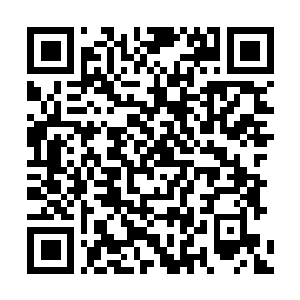 Link to your fundraiser QRCode - Fundraising