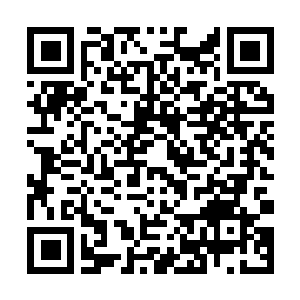 Link to your fundraiser QRCode - Fundraising
