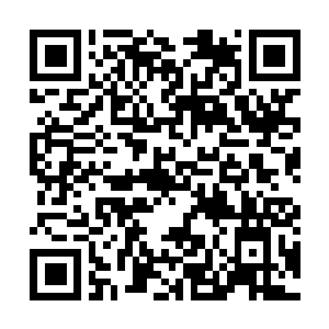 Link to your fundraiser QRCode - Fundraising