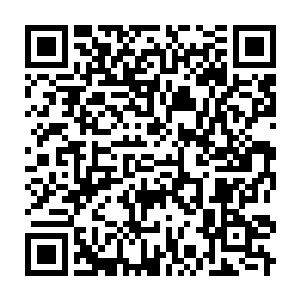 Link to your fundraiser QRCode - Fundraising