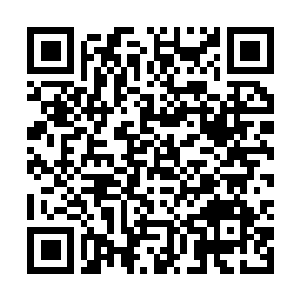 Link to your fundraiser QRCode - Fundraising