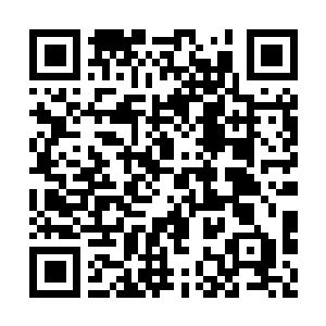 Link to your fundraiser QRCode - Fundraising