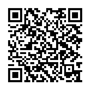 Link to your fundraiser QRCode - Fundraising
