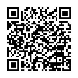 Link to your fundraiser QRCode - Fundraising