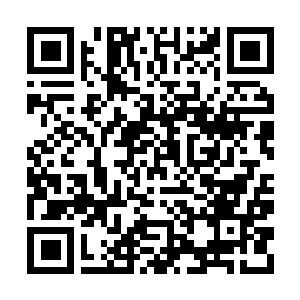 Link to your fundraiser QRCode - Fundraising
