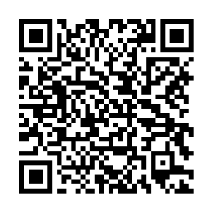 Link to your fundraiser QRCode - Fundraising