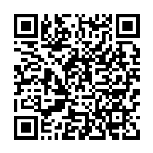 Link to your fundraiser QRCode - Fundraising