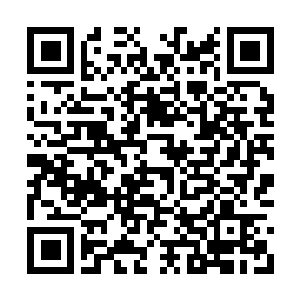 Link to your fundraiser QRCode - Fundraising