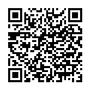 Link to your fundraiser QRCode - Fundraising