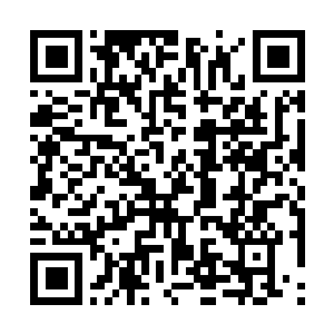 Link to your fundraiser QRCode - Fundraising