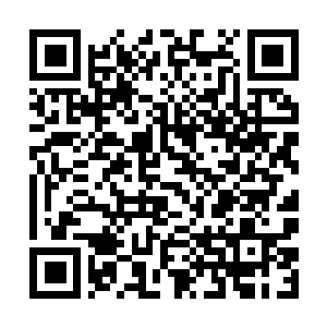 Link to your fundraiser QRCode - Fundraising