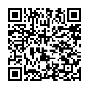 Link to your fundraiser QRCode - Fundraising